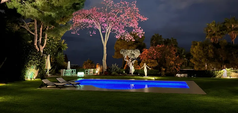 La piscine éclairée la nuit sous un arbre en fleurs illuminé